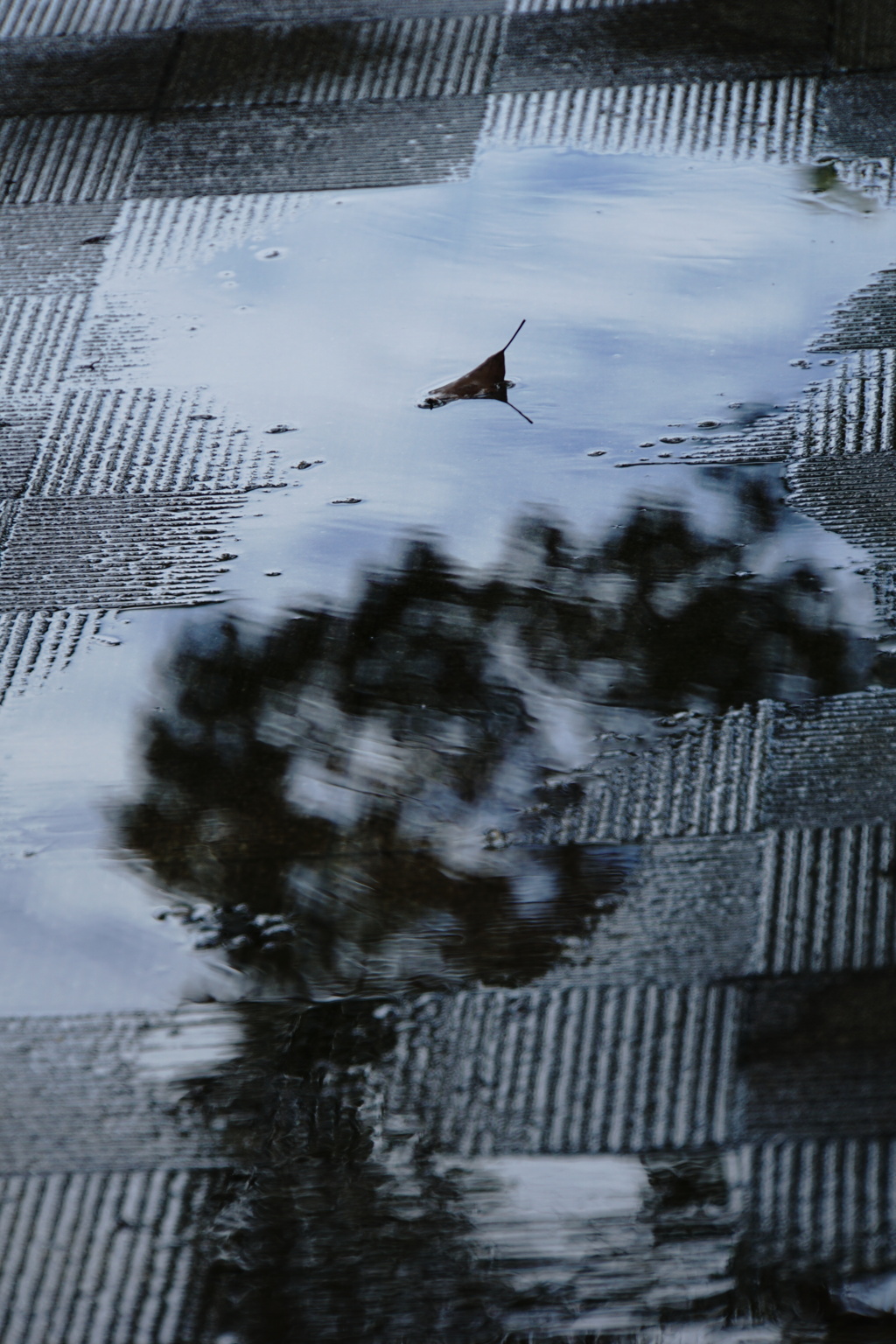 雨上がりの舗道