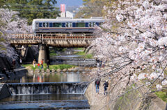 さくら夙川