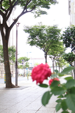 白い街角