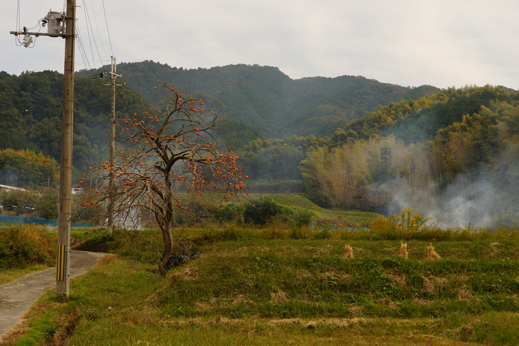 秋里の風景（山の辺の道）