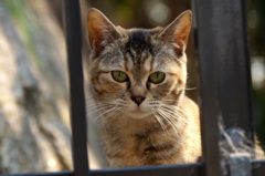 キミに会える坂道