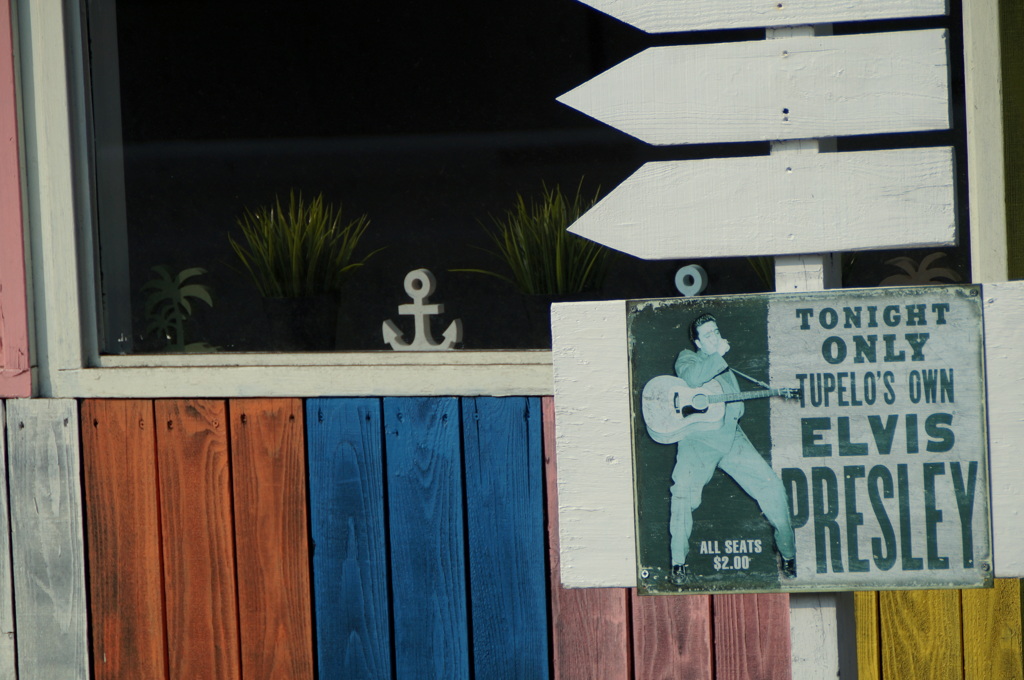 今夜はエルヴィス