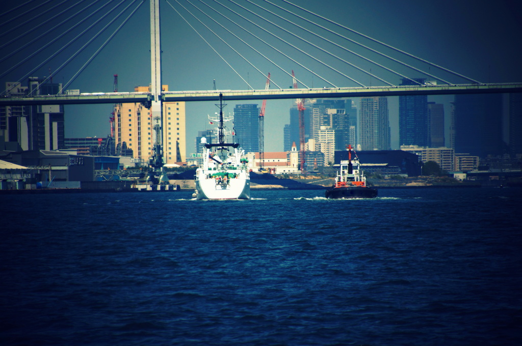湾岸風景
