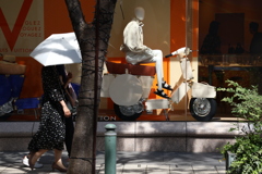 夏の日差し