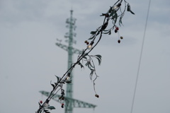 電波の飛ぶ空