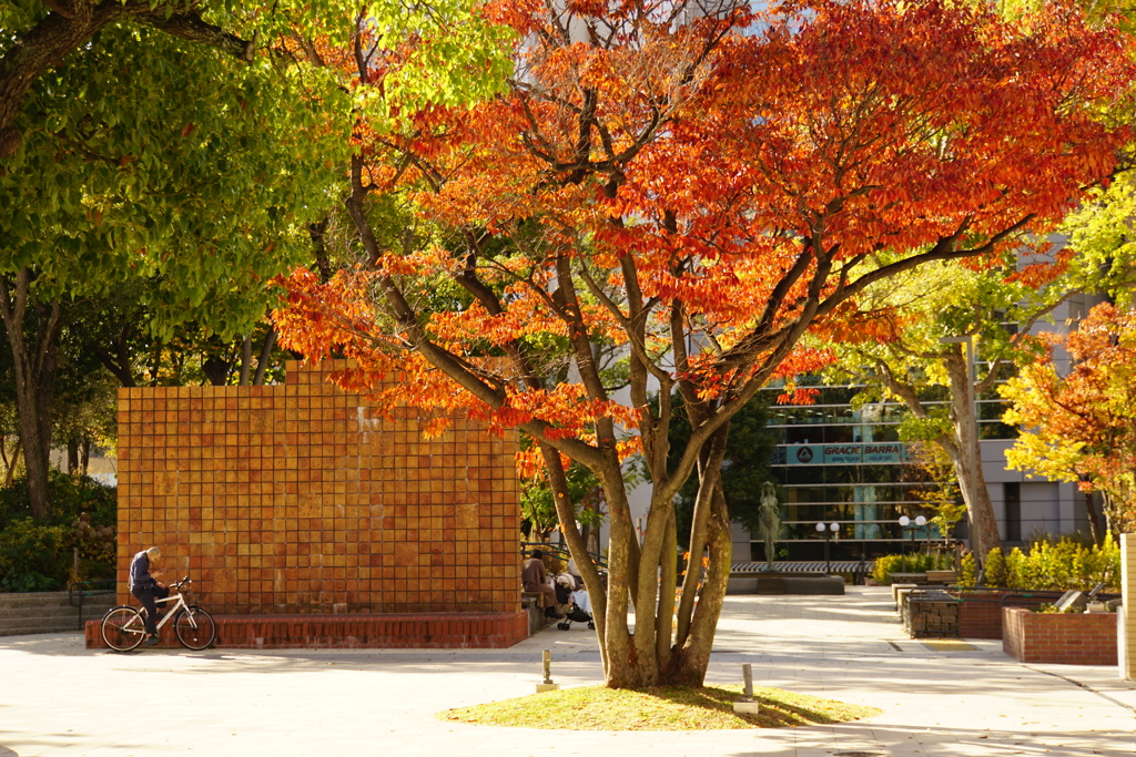 紅葉眩しい街角