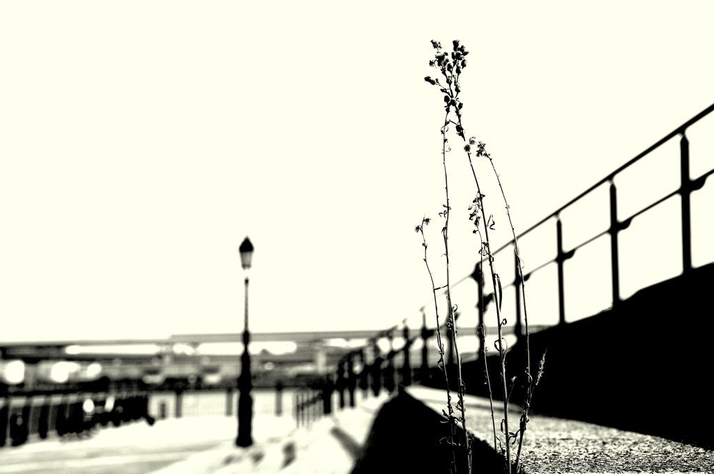 Hello, lamppost, what'cha knowin'?