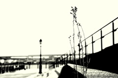 Hello, lamppost, what'cha knowin'?