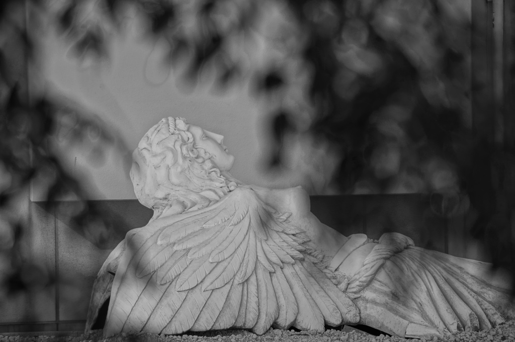 眠る女王～バブルの夢