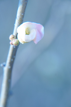 春の予感