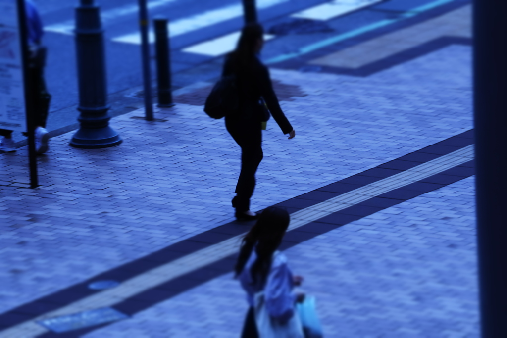 冬が駆け足でやってくる