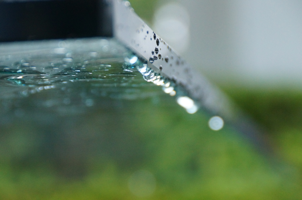 緑に溶けてゆく雨
