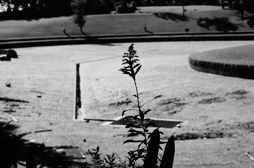 There was the summer.