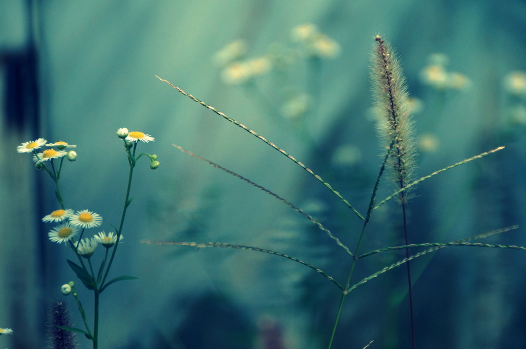 秋がひとつ通り過ぎていく