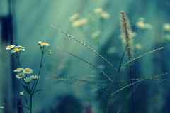 秋がひとつ通り過ぎていく