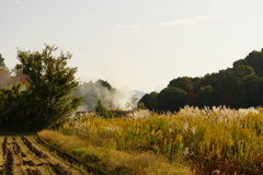 大和路の秋色 大和路の秋色