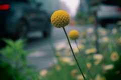 黄色に注意