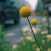 黄色に注意