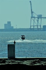 海を見ていた日