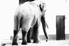 扉の向こう 扉の向こう