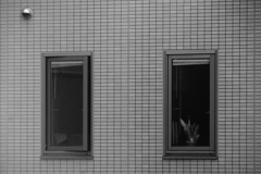 the scene of windows