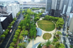 パセリと摩天楼