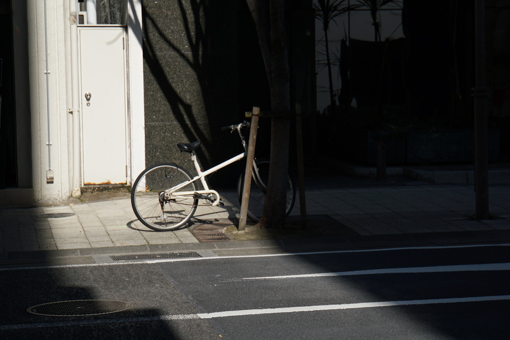 日差しの明暗差