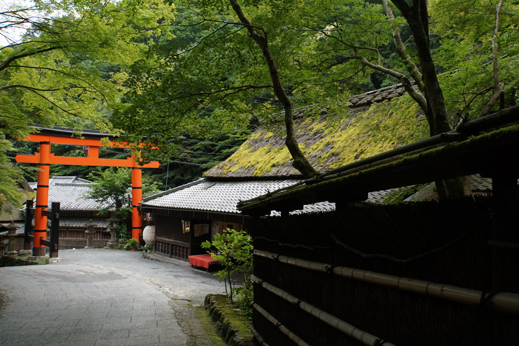 鳥居本鮎茶屋