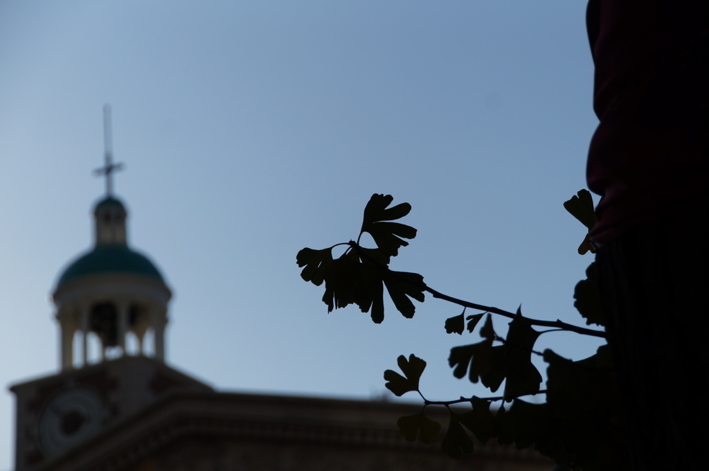 ウェディングベルの空