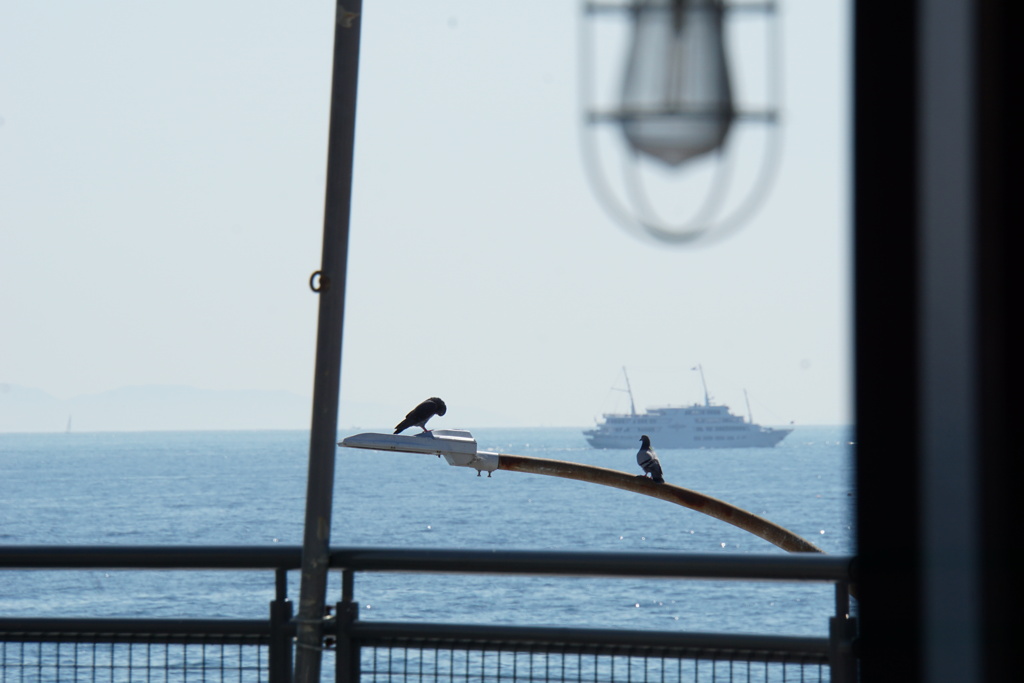 海を見ていた日