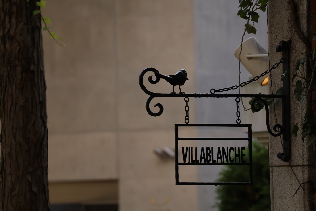 公園の小さなレストラン