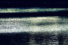 かもふらーじゅ