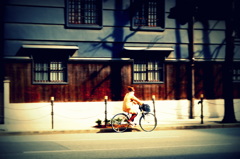春は自転車に乗って