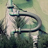 horse or hose