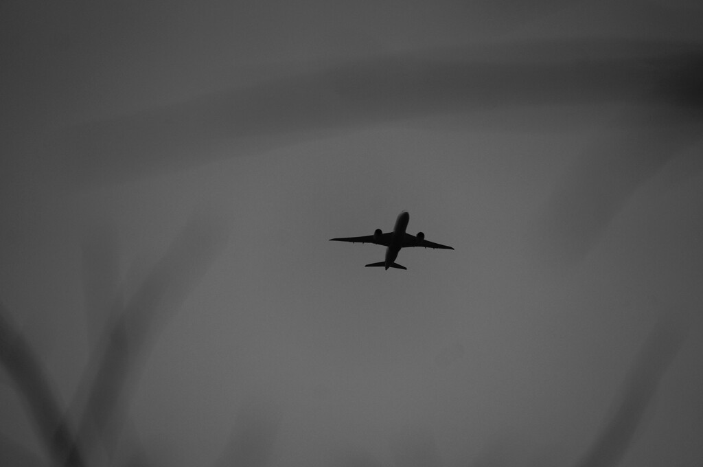 Winter Flight