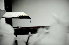 shi・zu・ku shi・zu・ku