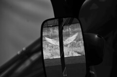 Angel's Wing