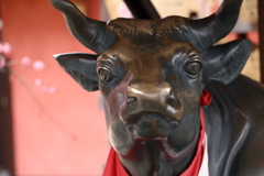 神戸北野天満神社・梅だより