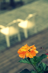 誰かの座る椅子