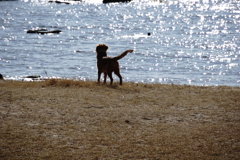 キミの好きな海だ キミの好きな海だ