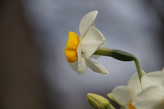 春は名のみの・・