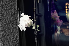 夢と記憶を花束にして