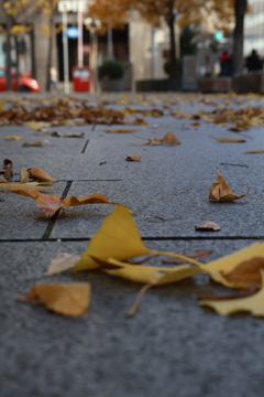 ただ風が吹いているだけ