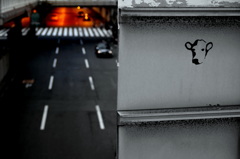 じっと見ている