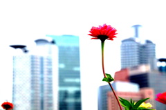 Summer in the City
