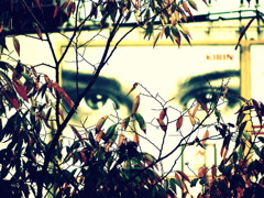 Can't take my eyes off you.