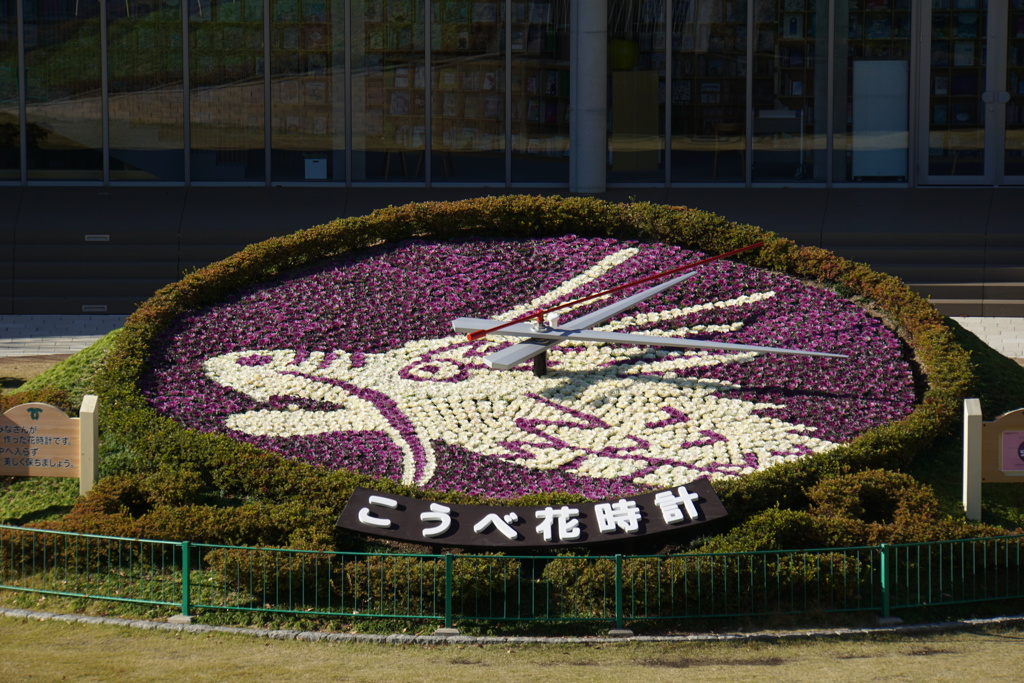 シン・辰年
