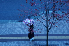 紅葉ときどき時雨