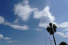 いい雲が出ている