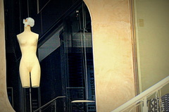 トルソーの仕事